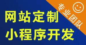 应用软件开发|程序开发|软件开发 小程序开发 网站建设推广-湖南星链数娱网络科技有限公司