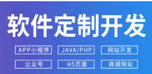 软件开发、应用软件开发-湖南星链数娱网络科技有限公司